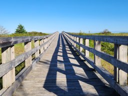 Summerville Beach Boardwalk