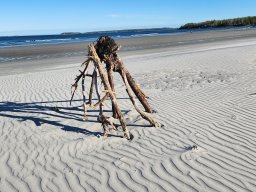 Summerville Beach